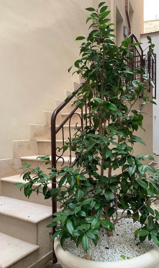 Appartamento Camelia Palo del Colle 외부 사진
